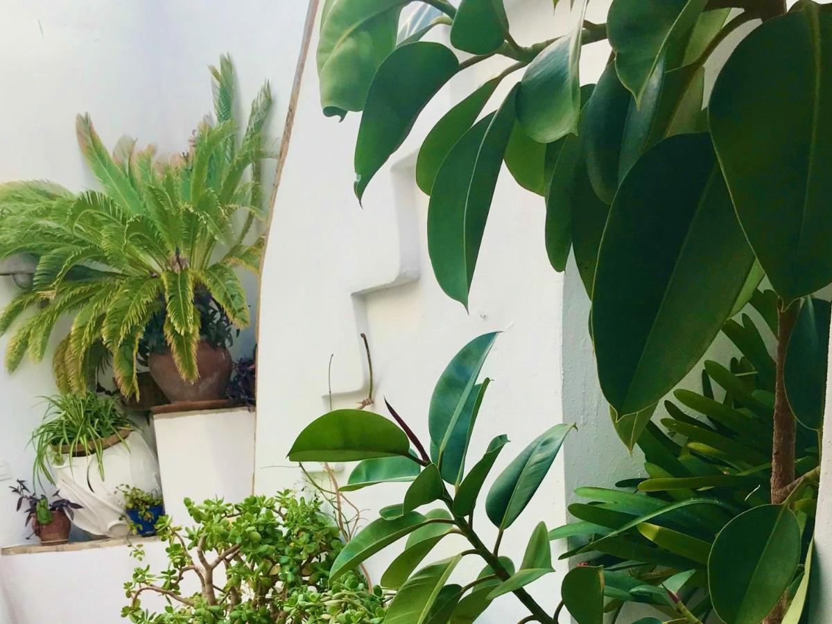 ベヘール・デ・ラ・フロンテーラCasa La Fuente C Casas Vejer Debraアパートメント エクステリア 写真